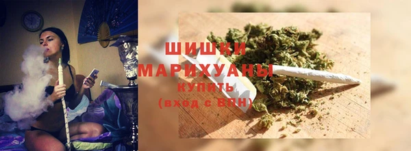 мет Бородино