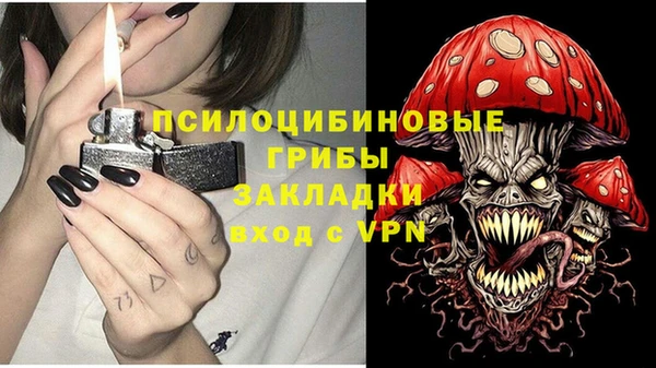 мет Бородино