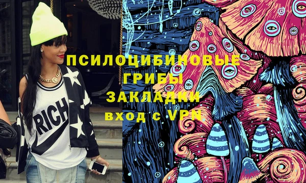тгк Бронницы