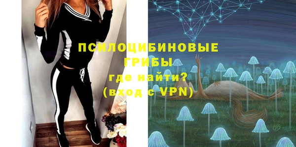 мет Бородино