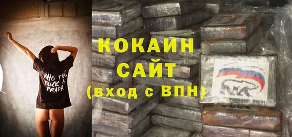 тгк Бронницы