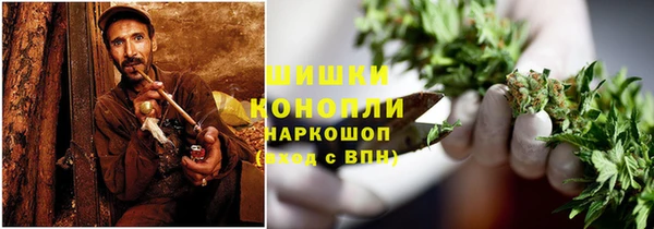 тгк Бронницы